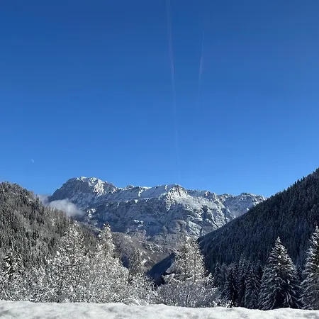 Scoiattolo Dolomites Experience
