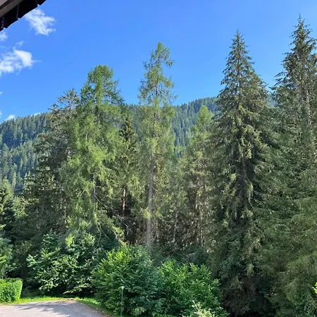 Scoiattolo Dolomites Experience Falcade